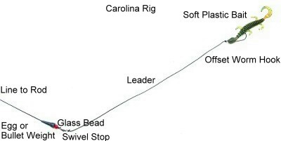 When to Use a Carolina Rig vs. a Texas Rig – Simple Fishing