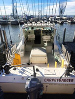 Carpetbagger Fishing Charters Lake Erie